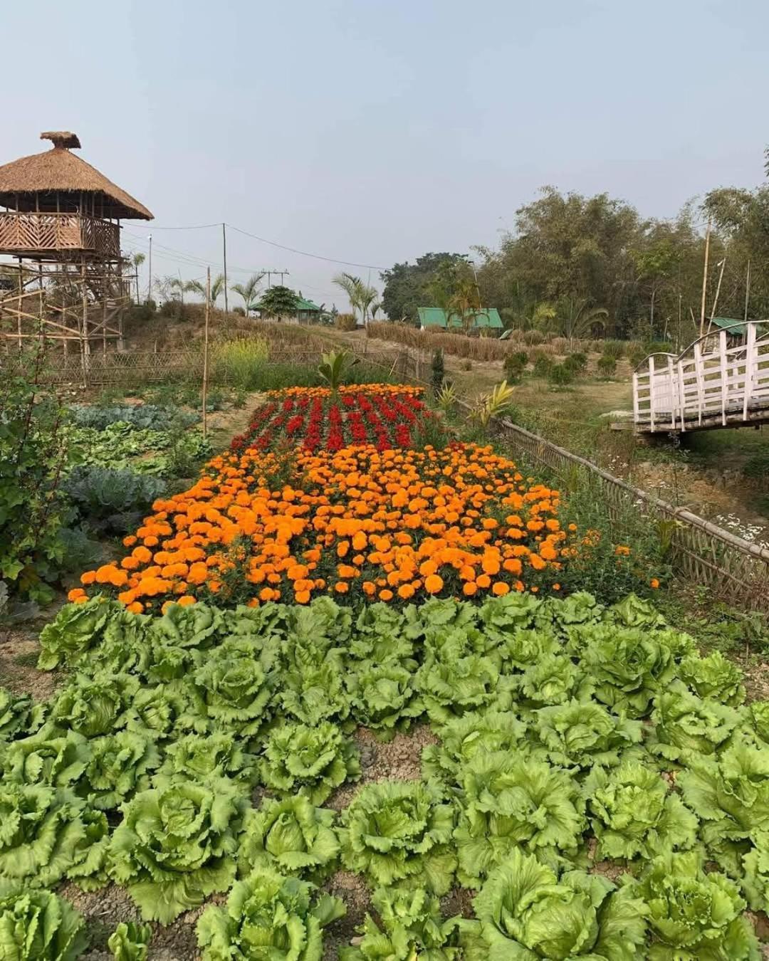 Bogibil Eco Resort New Dibrugarh Zewnętrze zdjęcie