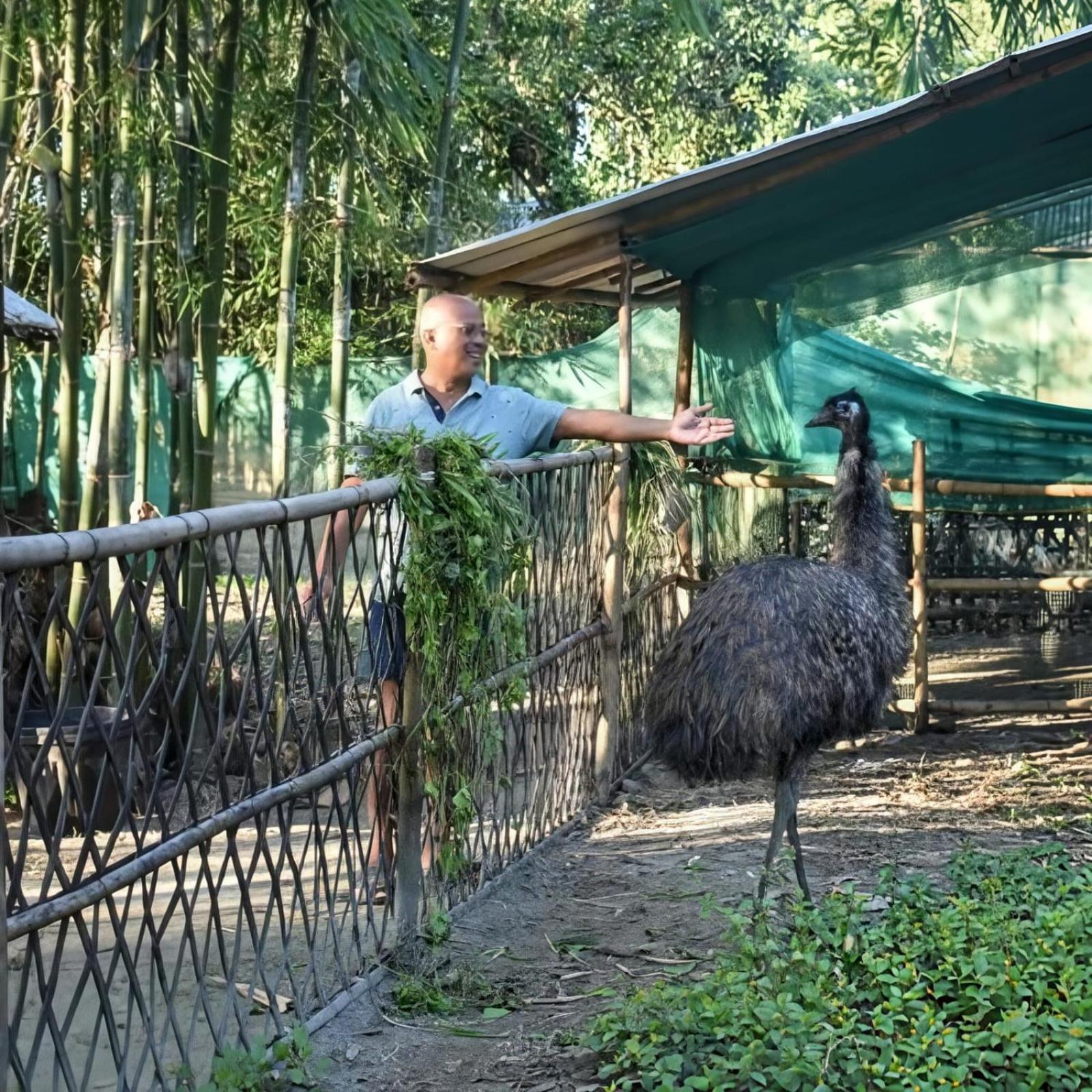 Bogibil Eco Resort New Dibrugarh Zewnętrze zdjęcie
