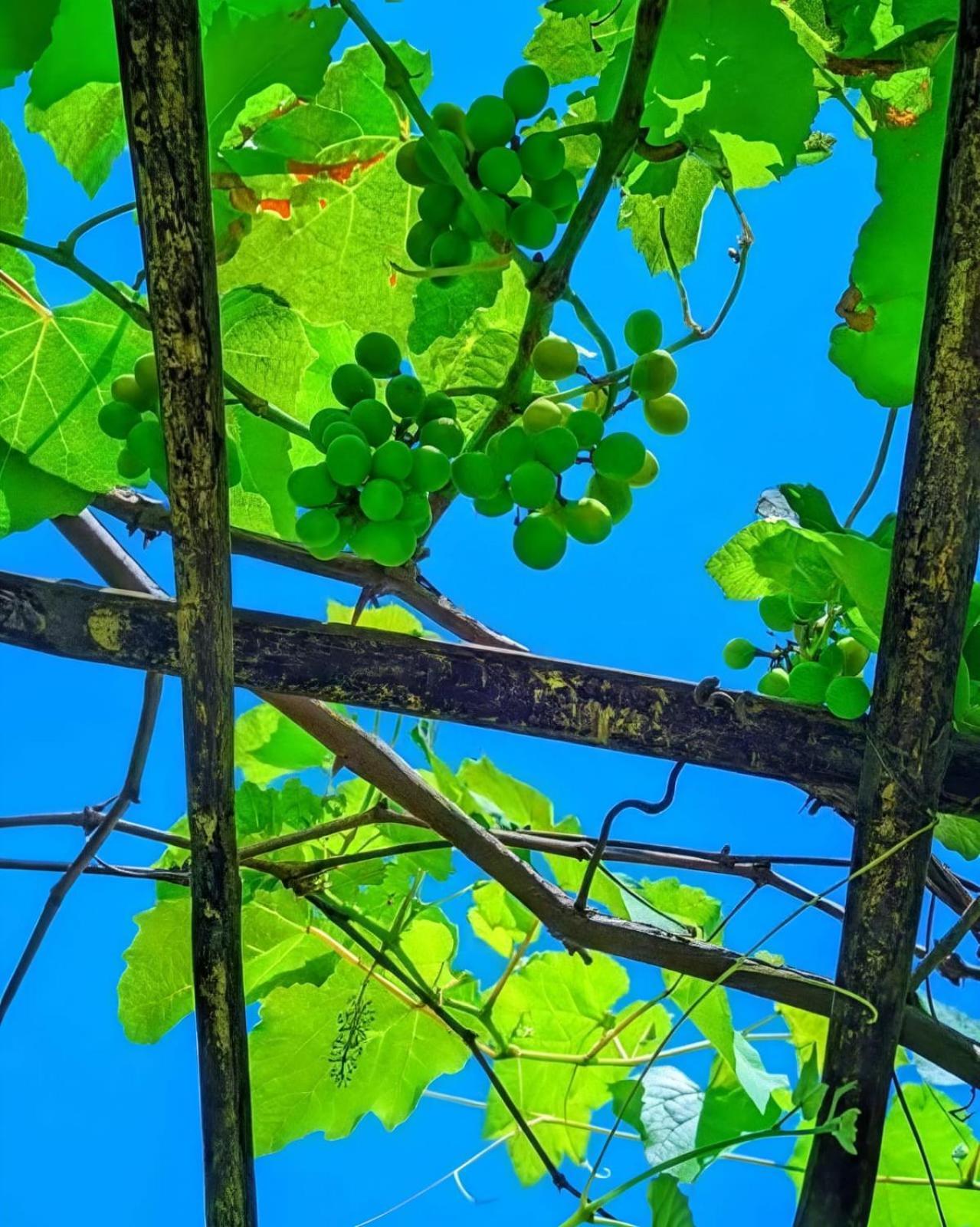 Bogibil Eco Resort New Dibrugarh Zewnętrze zdjęcie
